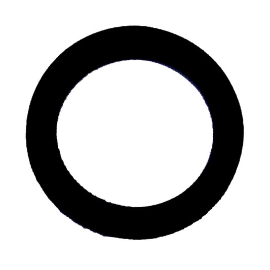 WSM O-Ring