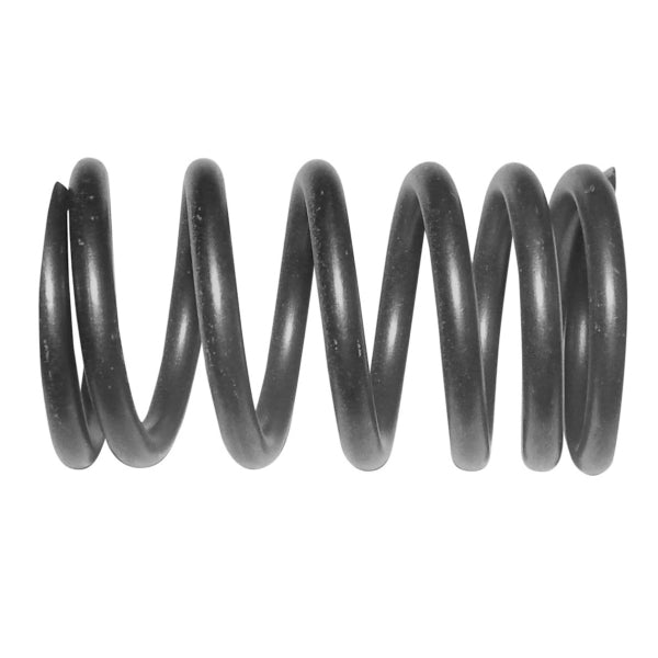 WSM Valve Spring