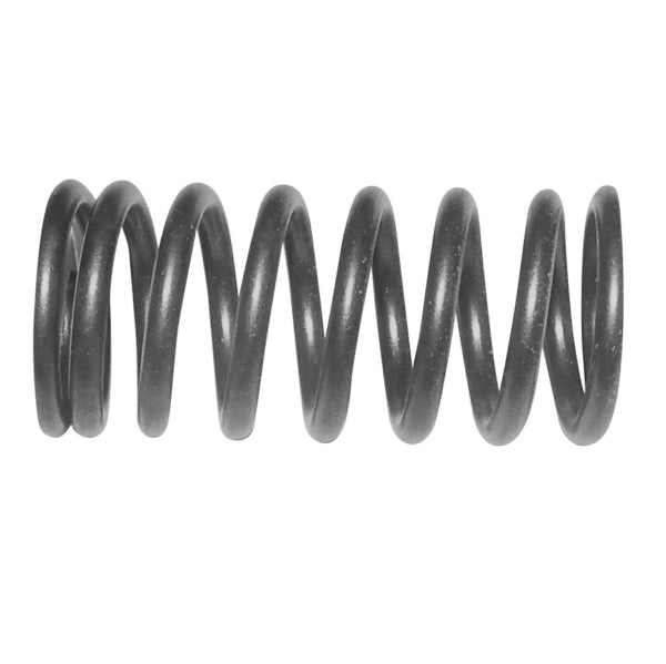 WSM Valve Spring