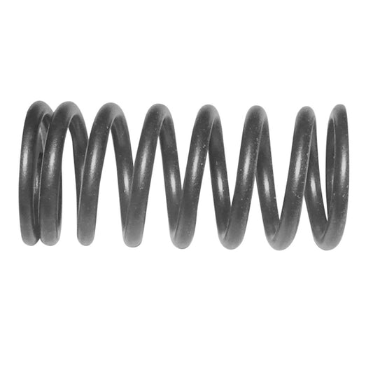 WSM Valve Spring
