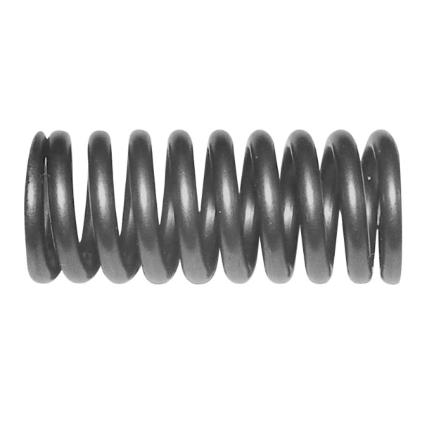 WSM Valve Spring