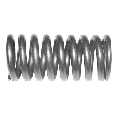 WSM Valve Spring