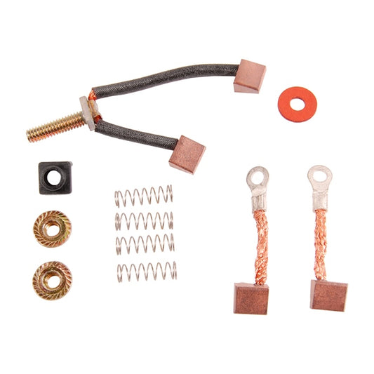 BRP Evinrude Brush and Spring Set 821052