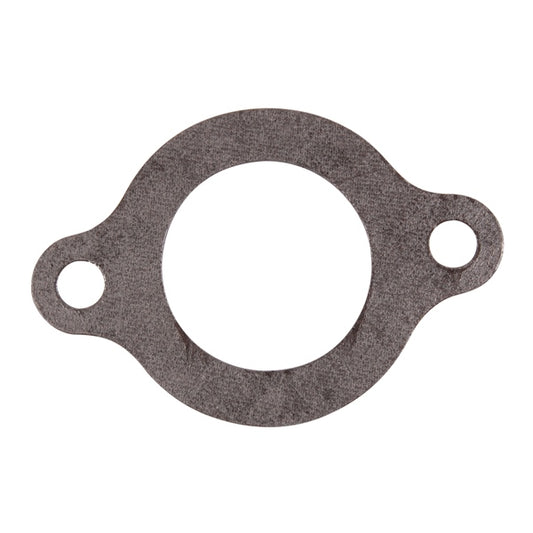BRP Evinrude Thermostat Gasket Fits Johnson/Evinrude, Fits OMC - 821400