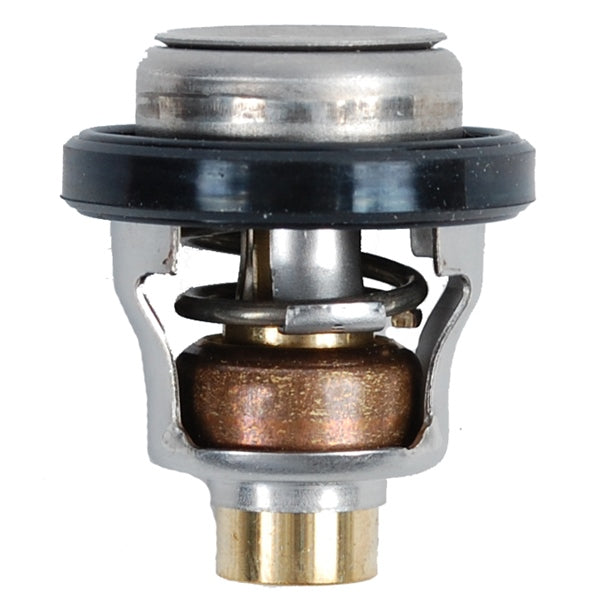 BRP Evinrude Thermosthat 60