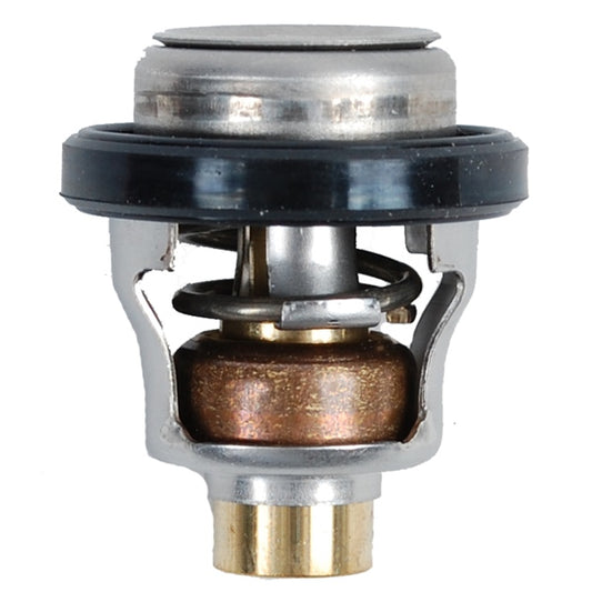 BRP Evinrude Thermosthat 60