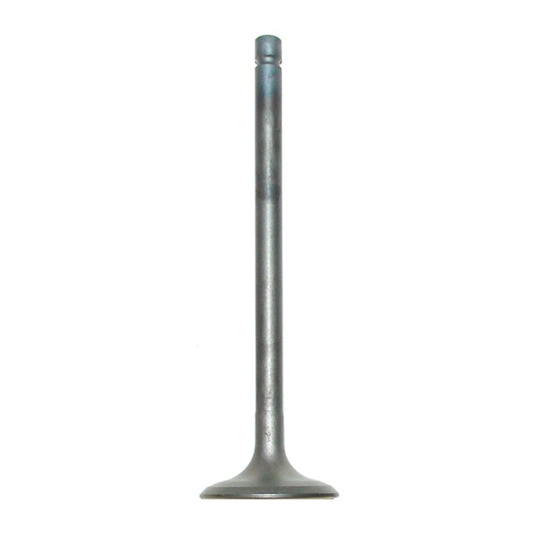 WSM Exhaust Valve