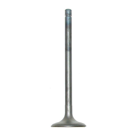 WSM Exhaust Valve