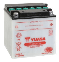 Batterie Yuasa YuMicron YB30L-B