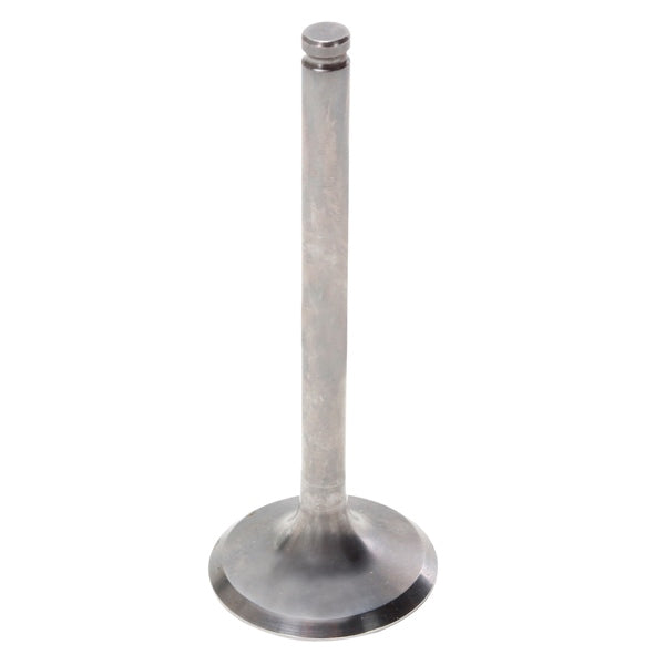 Hot Cams Exhaust Valve - Steel & titanium-035034-HotCams-Elevate