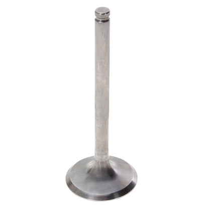 Hot Cams Exhaust Valve - Steel & titanium-035034-HotCams-Elevate