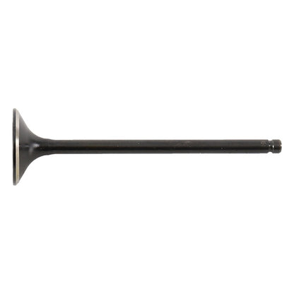Hot Cams Exhaust Valve - Steel & titanium-035075-HotCams-Elevate