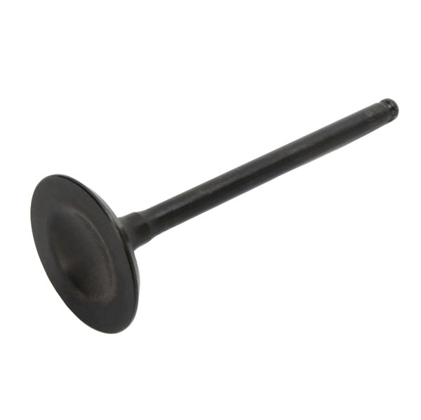 Hot Cams Exhaust Valve - Steel & titanium-035079-HotCams-Elevate