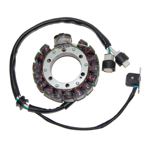 ElectroSport Stator pour Yamaha - 215051