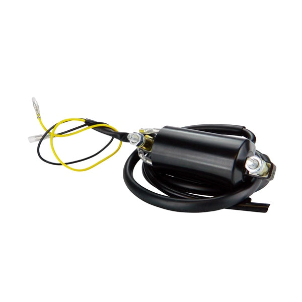 Kimpex HD - Bobine d'Allumage Externe 6 Volts Universelle - 225673