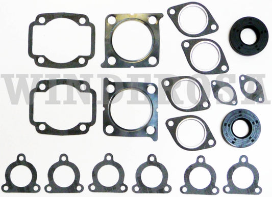 VertexWinderosa Professional Complete Gasket Sets with Oil Seals Fits Arctic cat - 09-711245