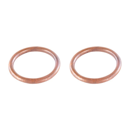 VertexWinderosa Exhaust Gasket