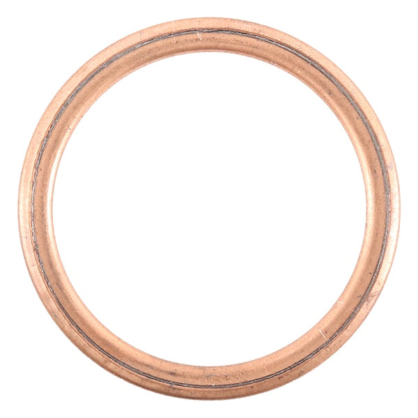 VertexWinderosa Exhaust Gasket