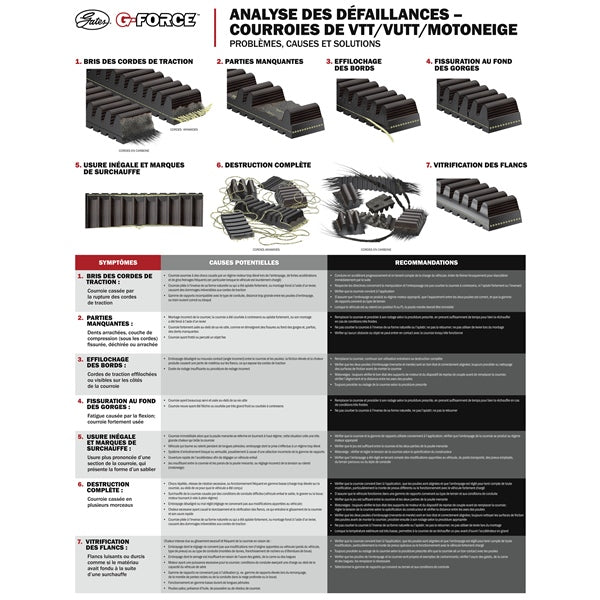 G-Force Carbon Cord C12 Drive Belt 204831